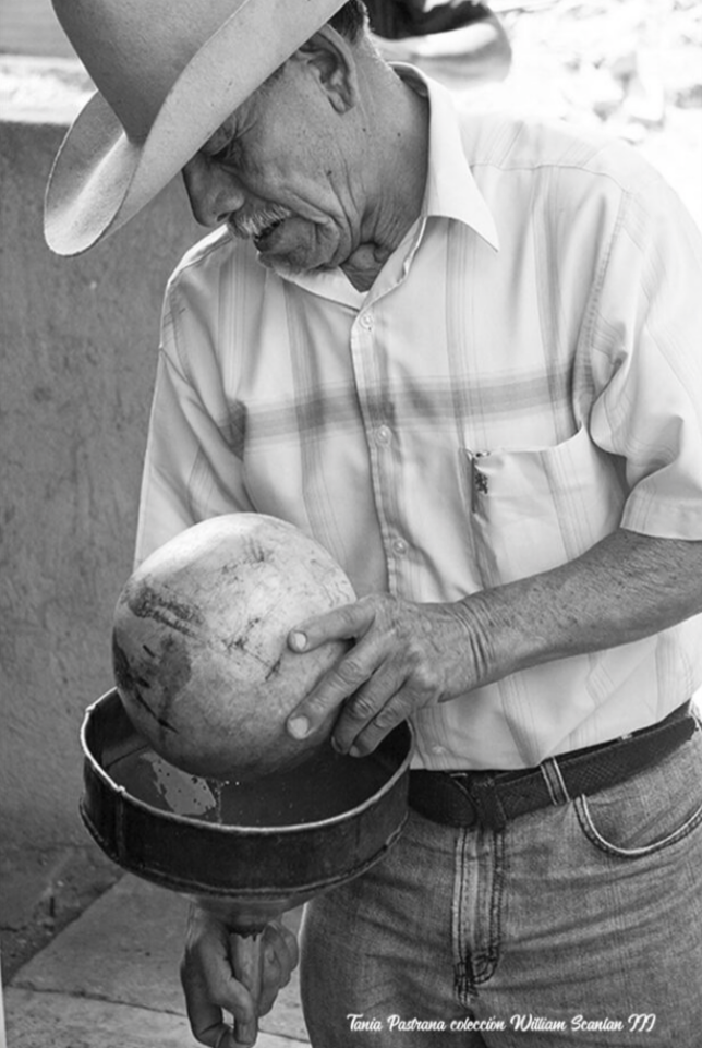 Maestro mezcalero de Real Minero